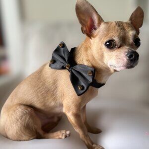 Dapper Studded Bow Tie – Bark Fifth Avenue